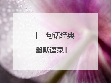 一句话经典幽默语录