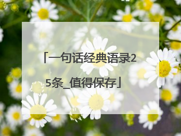 一句话经典语录25条_值得保存