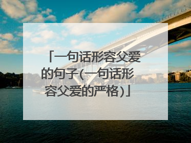一句话形容父爱的句子(一句话形容父爱的严格)