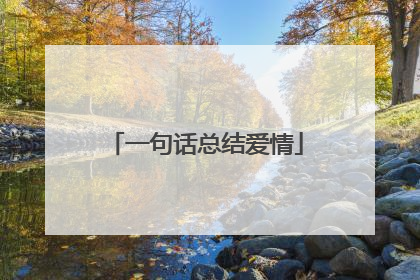 一句话总结爱情