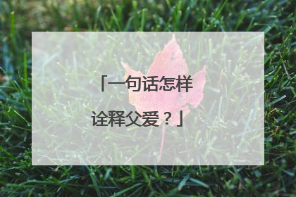 一句话怎样诠释父爱？