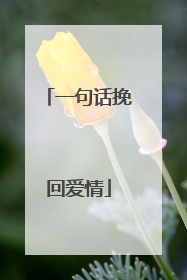 一句话挽回爱情