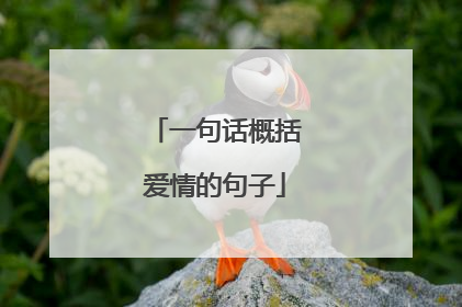一句话概括爱情的句子
