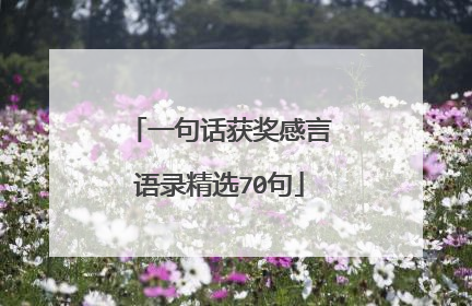 一句话获奖感言语录精选70句
