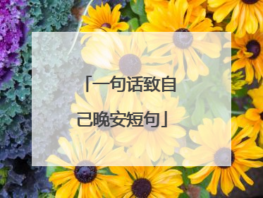 一句话致自己晚安短句