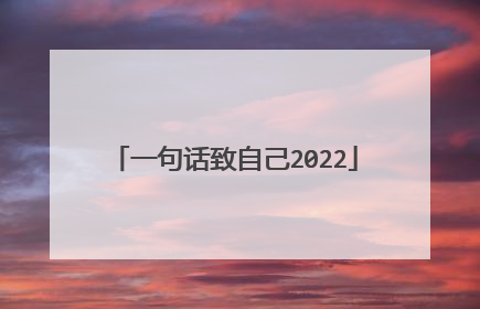一句话致自己2022