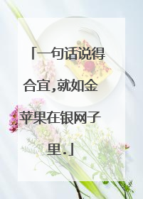 一句话说得合宜,就如金苹果在银网子里.