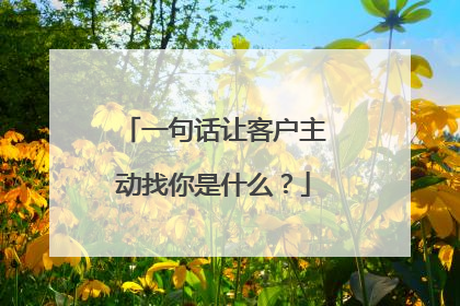 一句话让客户主动找你是什么?
