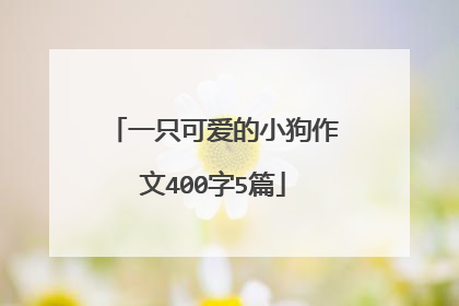 一只可爱的小狗作文400字5篇