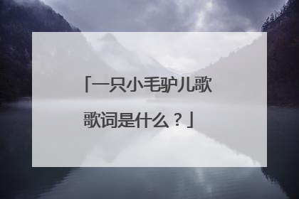 一只小毛驴儿歌歌词是什么？