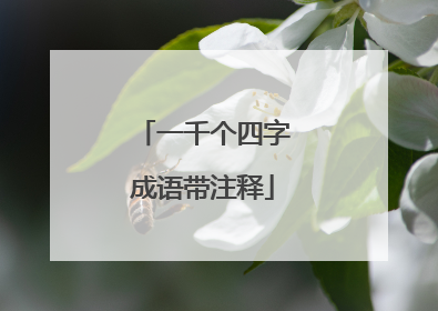 一千个四字成语带注释