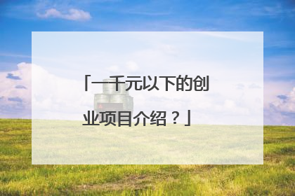 一千元以下的创业项目介绍？