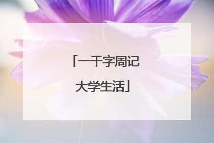 一千字周记 大学生活