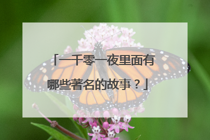 一千零一夜里面有哪些著名的故事?
