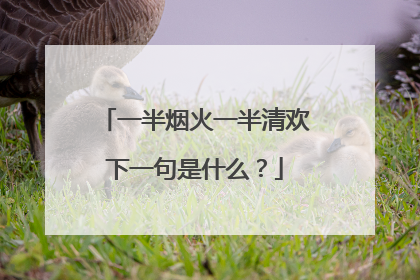 一半烟火一半清欢下一句是什么？