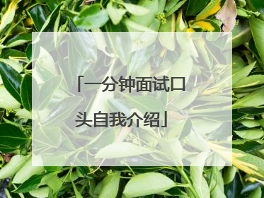 一分钟面试口头自我介绍
