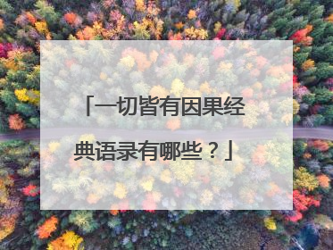 一切皆有因果经典语录有哪些?