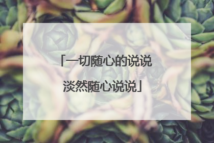 一切随心的说说 淡然随心说说