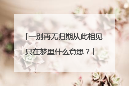 一别再无归期从此相见只在梦里什么意思?