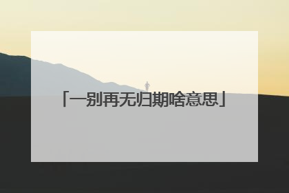 一别再无归期啥意思