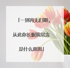 一别再无归期,从此你长眠我常念是什么意思