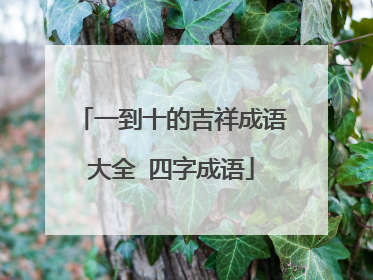 一到十的吉祥成语大全 四字成语