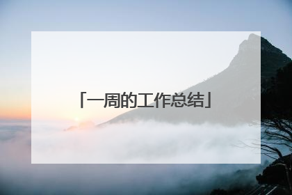 一周的工作总结