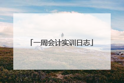 一周会计实训日志