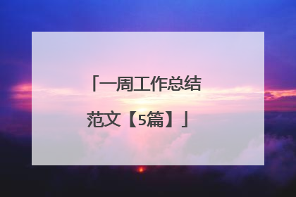 一周工作总结范文【5篇】