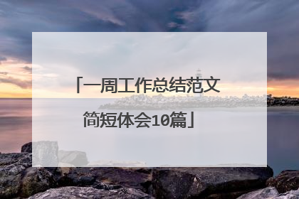 一周工作总结范文简短体会10篇
