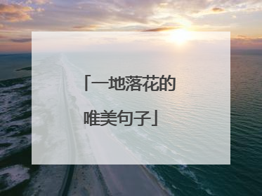 一地落花的唯美句子