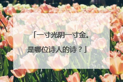 一寸光阴一寸金。是哪位诗人的诗?