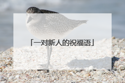 一对新人的祝福语