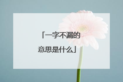 一字不漏的意思是什么