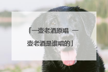 一壶老酒原唱 一壶老酒是谁唱的