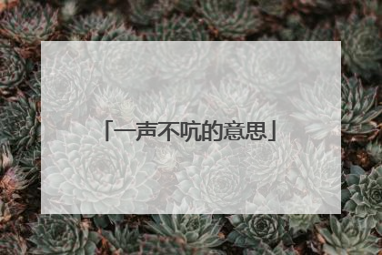 一声不吭的意思