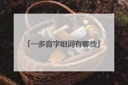 一多音字组词有哪些