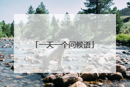 一天一个问候语