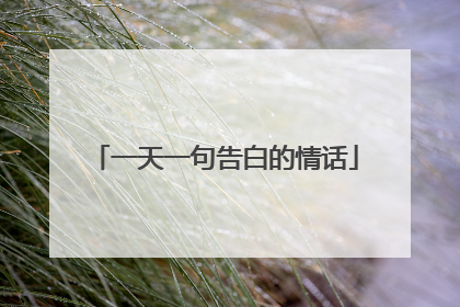 一天一句告白的情话