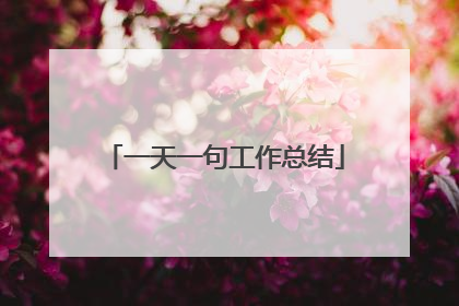 一天一句工作总结