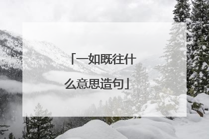 一如既往什么意思造句