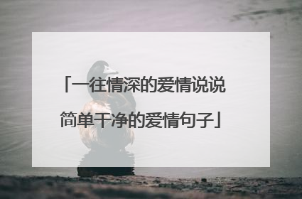 一往情深的爱情说说 简单干净的爱情句子