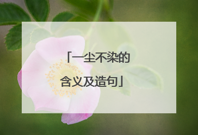 一尘不染的含义及造句