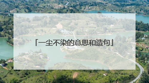 一尘不染的意思和造句