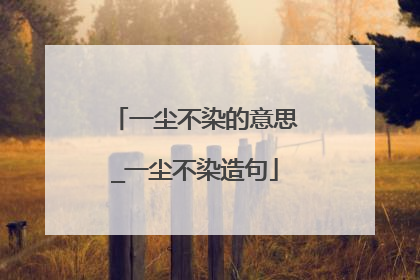 一尘不染的意思_一尘不染造句