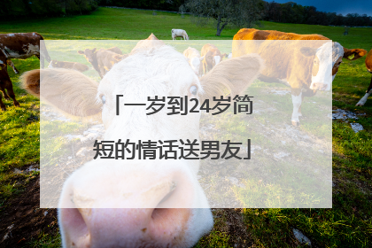 一岁到24岁简短的情话送男友