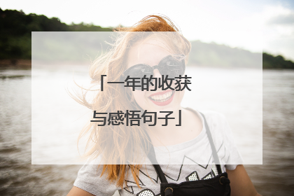 一年的收获与感悟句子