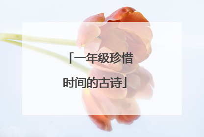 一年级珍惜时间的古诗
