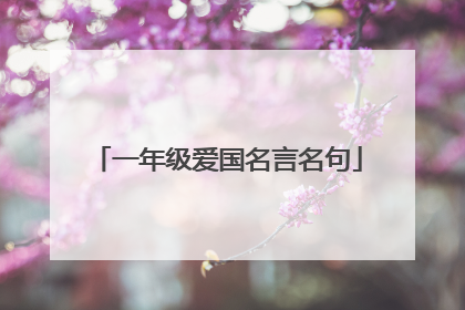 一年级爱国名言名句