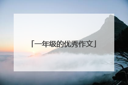 一年级的优秀作文